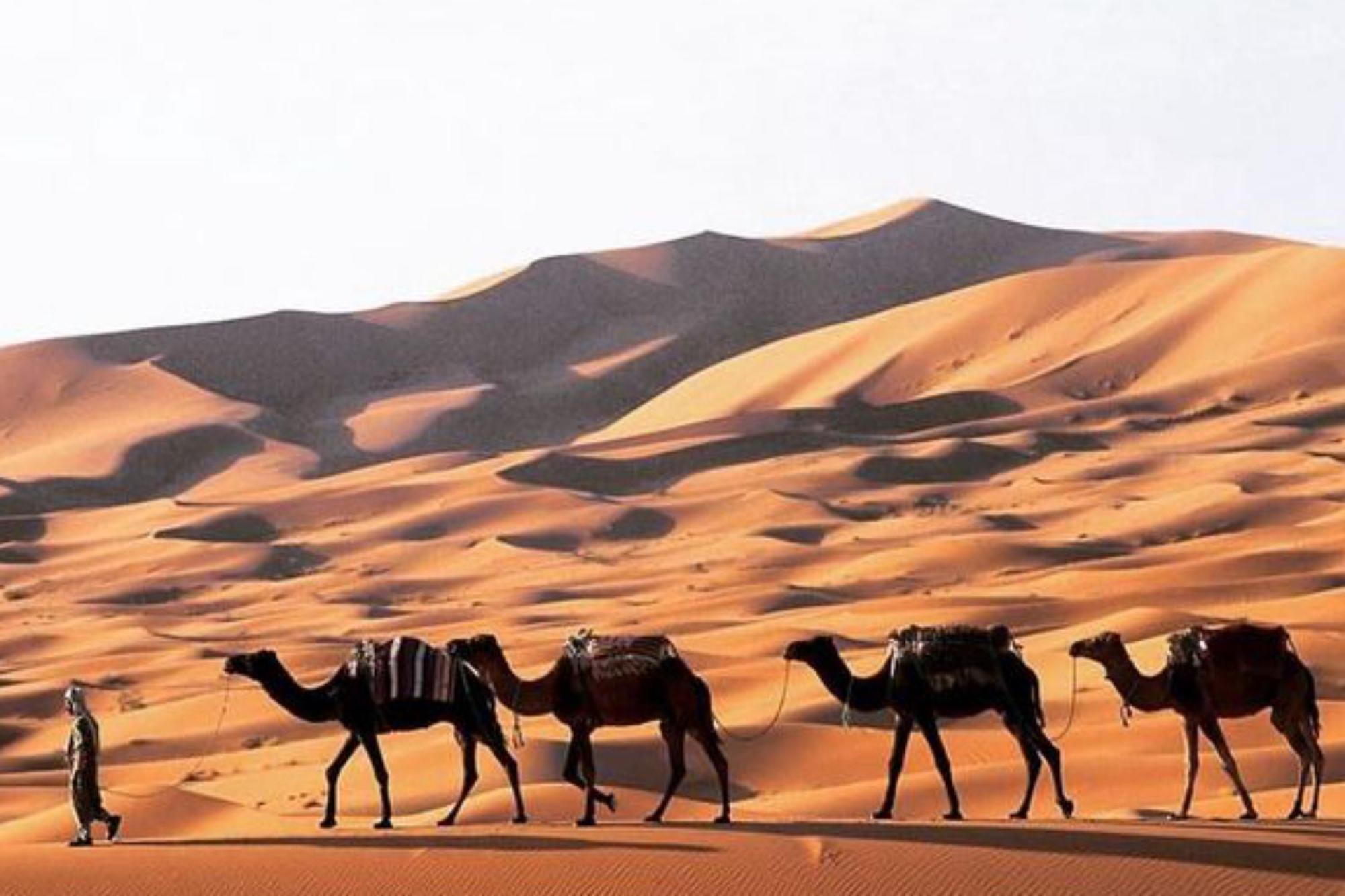 Luxury Merzouga Desert Camp Экстерьер фото
